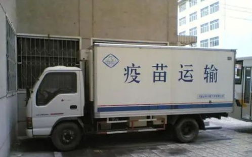 市場(chǎng)規(guī)模超4000億,生鮮電商加速冷鏈物流擴(kuò)張,發(fā)展前景如何